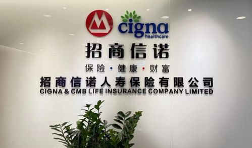 招商信諾換帥，凈利潤暴增517%背后的資本悖論